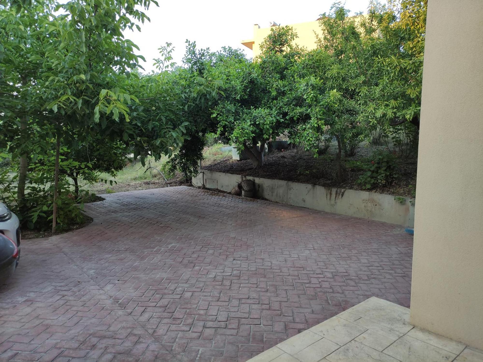 Under The Trees Apartment Heraklion  Exterior photo